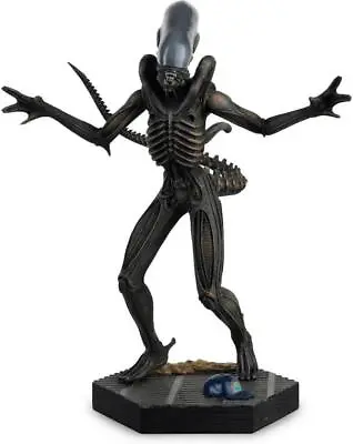Buy Alien: Xenomorph Drone Box Display Edition Eaglemoss Figurine • 15.99£