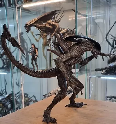 Buy Alien Xenomorph Warrior AvP Statue - Brown Version  • 54.99£