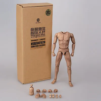 Buy WorldBox 1/6 Male Body Action Figure Doll 12  For Hot Toys Phicen TBLeague Head • 36.24£