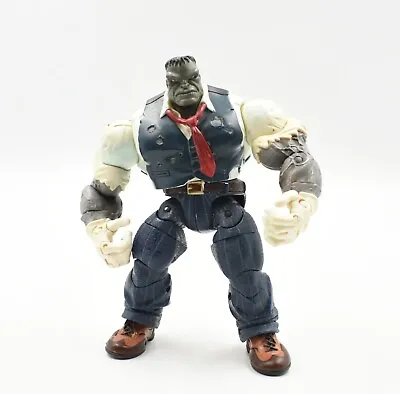 Buy ToyBiz - The Incredible Hulk Classics - Joe Fixit Hulk Action Figure • 19.99£
