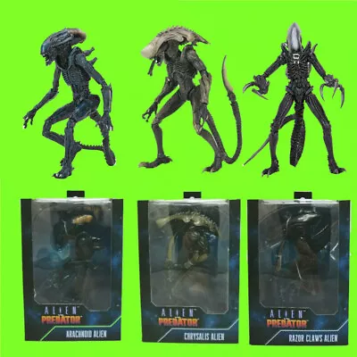 Buy NECA Alien Vs Predator Chrysalis - Arachnoid + Razor Claws Alien Figures New/ORIGINAL PACKAGING • 154.44£