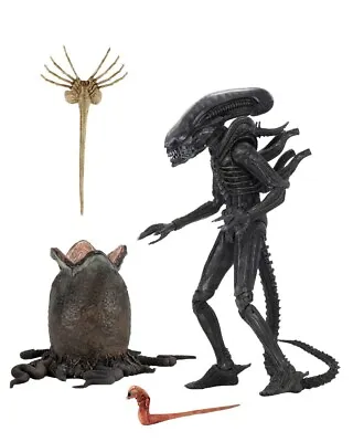 Buy Alien 1979 Ultimate Big Chap 40th Anniversary Action Figure Neca - Official • 52.95£