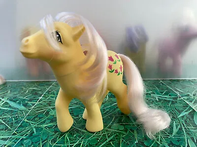 Buy My Little Pony G1 Posey Dark Tulips Vintage Toy Hasbro 1984 Collectibles MLP B • 12.99£