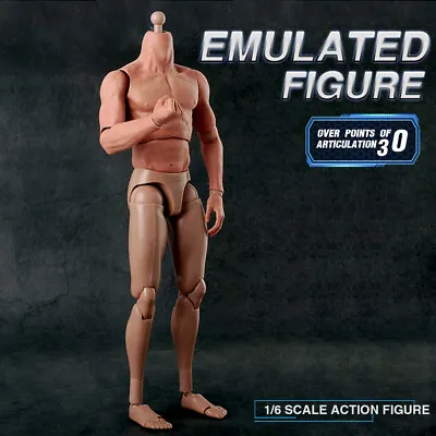 Buy 1/6 Muscular Male Man Nude Body F 1:6 Wolverine Hot Toys Head 12  Action Figures • 30.58£