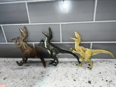 Buy Jurassic World Charlie Echo & Delta Velociraptor Dinosaur Figure Bundle Hasbro • 19.99£