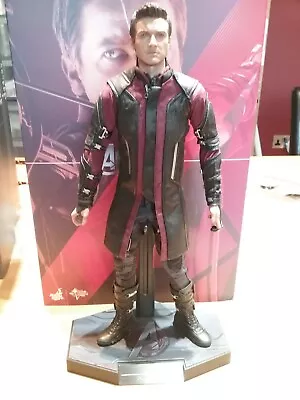 Buy Hawkeye Hot Toys Avengers Age Of Ultron One Sixth 1:6 Action Figure Nm In Box • 199.95£