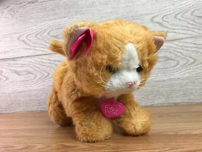 Buy FurReal Friends Daisy Plays Interactive Brown Ginger Cat Kitten Toy • 22.49£