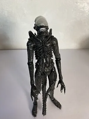 Buy Neca Aliens Series 2 2013 Xenomorph Warrior Black Figure Alien Vs Predator • 29.99£