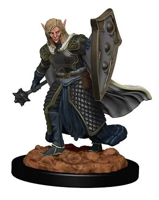 Buy Dungeons & Dragons Icons Of The Realms Premium Figures: W2 Elf Male Cleric • 11.83£
