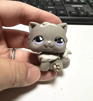 Buy LPS Littlest Pet Shop Gray Persian Cat Purple Eyes 973 Hungriest Toy Figure • 9.58£