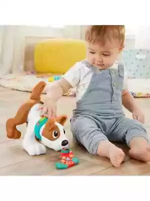 Buy BRAND NEW Fisher-Price 123 Crawl With Me Puppy Toy • 20£