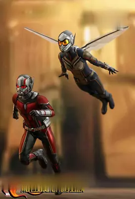 Buy Hot Toys 1/6 MMS497 – Ant-Man And The Wasp – Ant-Man IN STOCK • 253.99£