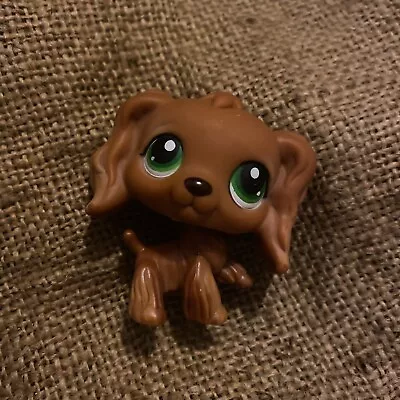 Buy Littlest Pet Shop Genuine Hasbro Dog Figure Puppies Brown Cocker Spaniel Green • 16.99£