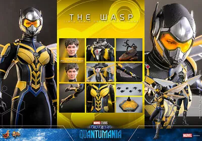 Buy Hot Toys Mms691 Movie Masterpiece Ant-Man Wasp Quantomania 1/6 Scale Figure • 570.33£