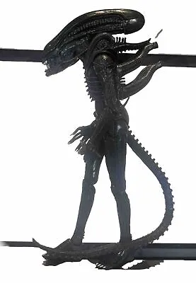 Buy Neca Aliens Series 2 2013 Xenomorph Warrior Black Figure Alien Vs Predator Oob • 40£
