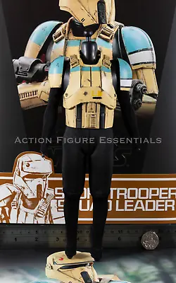 Buy Hot Toys Shoretrooper Body Set Squad Leader MMS592 1/6 Parts Star Wars Rogue One • 93.50£