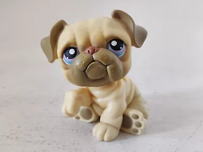 Buy LPS Littlest Pet Shop #135 Beige Tan Bulldog Purple Eyes Hasbro Free Shipping • 13.01£