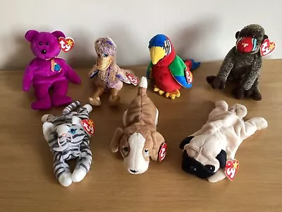 Buy 7 X TY Beanie Babies Various Animals Bundle Collection Excellent  With Tags • 20£