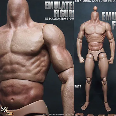 Buy 1/6 ZC Toys 12  Muscular Figure Body For Hot Toys TTM19 Body BW/Neck • 31.19£