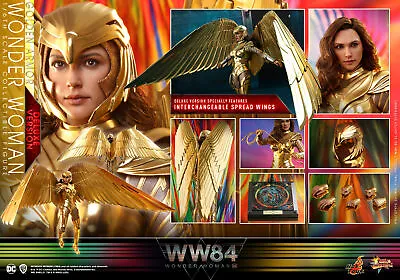 Buy 1/6 Hot Toys Mms578 Wonder Woman 1984 Ww84 Golden Armor Diana Prince Deluxe Ver • 435.99£