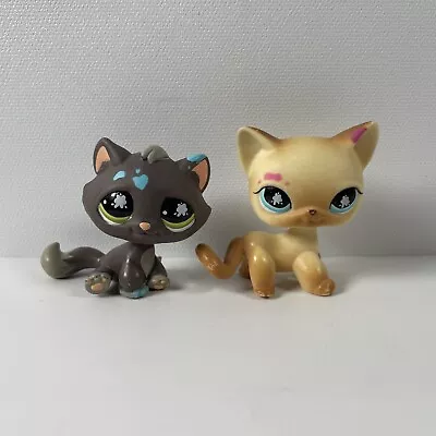 Buy Littlest Pet Shop #815 #816 Toy | Paint Splattered Kittens Cat | Official Hasbro • 24.99£