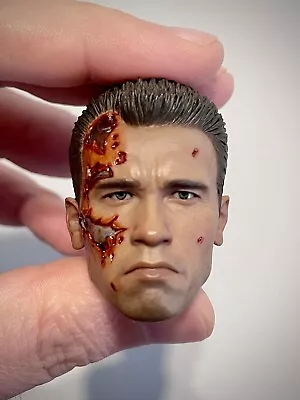 Buy 1/6 Scale Terminator Hot Toys DX13 Battle Damaged Headsculpt Only • 74.99£