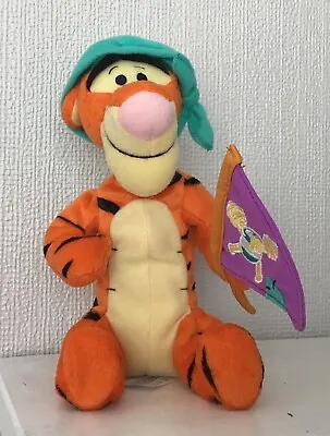 Buy Disney Star Bean Pirate First Mate Tigger  Fisher Price Mattel Soft Plush Toy 7  • 7.99£