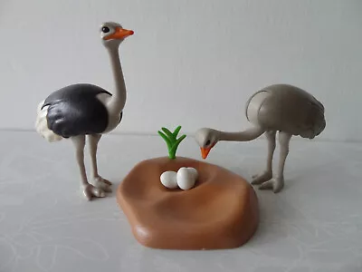 Buy Playmobil OSTRICH FAMILY  African Wildlife / Zoo • 9.99£