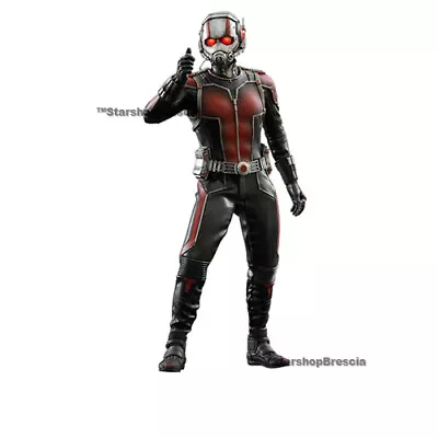 Buy  MARVEL - Hot Toys Ant-Man Movie Masterpiece 1/6 Action Figure 12   MMS308  Movie • 385.26£
