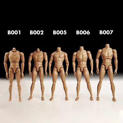 Buy 1/6 Muscular Male Narrow Shoulder Figure Body Flexible For 12  Hot Toys Phicen • 17.43£