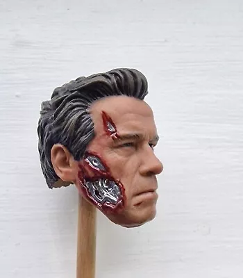 Buy Hot Toys Terminator Genesys Guardian Custom Chrome Painted Modified Sculpt • 55£