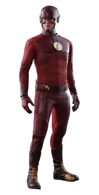 Buy Hot Toys The Flash Television Series 31 Cm TMS009 1/6 • 240£