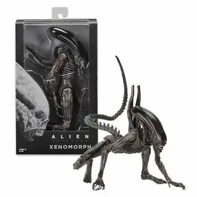 Buy NECA Alien Covenant Xenomorph   Action Figure 1:12 Aliens Collection Model Toy • 31.99£