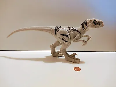 Buy Jurassic World Rare Dominion Atrociraptor Dinosaur Ghost Action Figure Rare • 15£