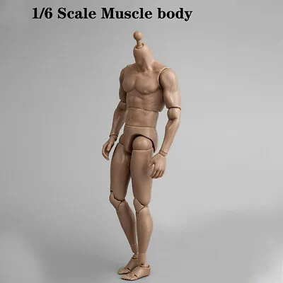 Buy ZY Toys 12  Muscular Male Action Figure Body Fit 1/6 Scale Hot Toys Head Sculpt • 19.57£