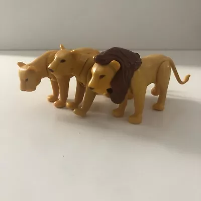 Buy Playmobil Wildlife, Safari & Zoo Animals: Lion Trio • 5£