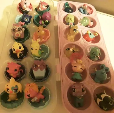 Buy Hatchimals Colleggtibles  Egg Carton With 24 Figures And 12 Shells • 11£
