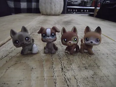 Buy Littlest Pet Shop Hasbro Set Of 4 Dog Figures #8 • 13.99£