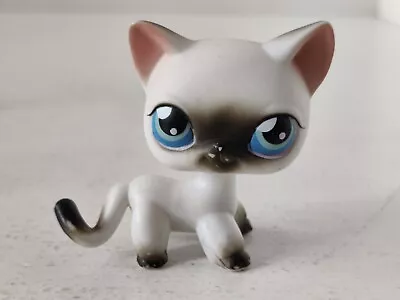 Buy Littlest Pet Shop LPS #5 Black White Siamese Cat Hasbro Free Shipping Worldwide  • 12.96£
