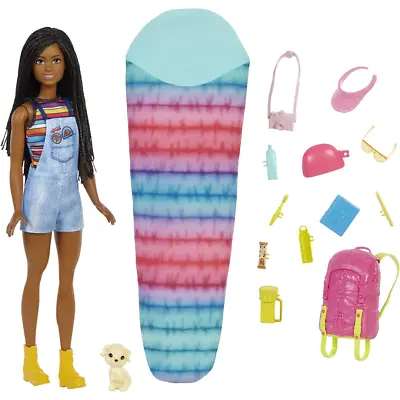 Buy Barbie It Takes Two Camping Doll With Puppy & 10+ Accessories Black - Brooklyn • 20.98£