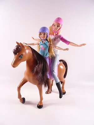 Buy Barbie Horse And Sister Stacie   Learn To Ride   Play Set Mattel FCD57 (1313139) • 30.83£
