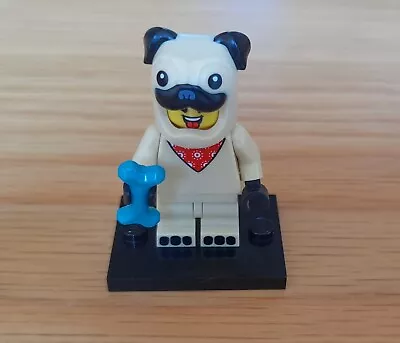 Buy LEGO. Pug Suit Boy Minifigure. Series 21 • 4.50£