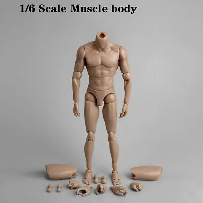 Buy 1/6 Muscular Male Man Action Figure Body For 12  Hot Toys Phicen TBLeague Head • 19.57£