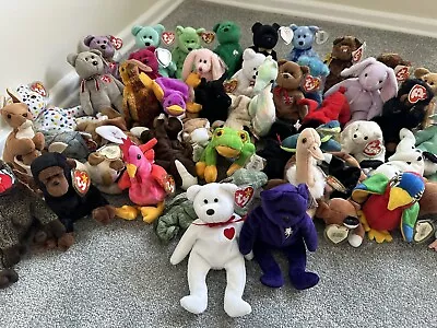 Buy Ty Beanie Baby Collection  • 45£