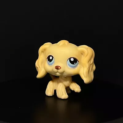 Buy LPS Littlest Pet Shop Blonde Cocker Spaniel #91 Blue Eyes  • 24.99£