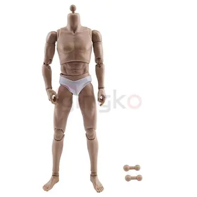 Buy WorldBox AT011 1/6 Narrow Shoulder Muscular Male Figure Body For 12 Hot Toys • 29.99£