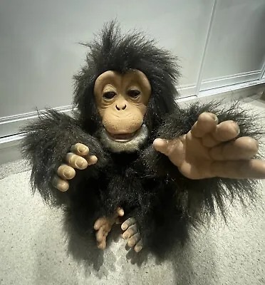 Buy Hasbro Furreal Friends Interactive Cuddle Chimp,2005, See Description • 25£