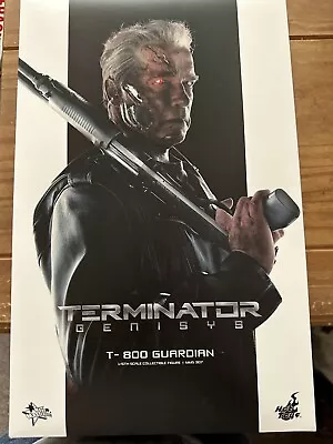 Buy Hot Toys T-800 Terminator MMS307 • 200£