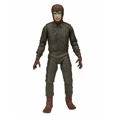 Buy Universal Monsters The Wolfman Retro Glow In The Dark Scale 7'' Action Figure • 20.46£