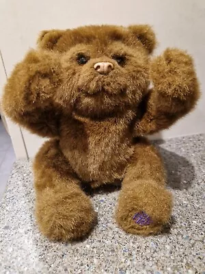 Buy FurReal Friends Luv Cub Baby Brown Bear - Interactive Teddy - 2009 Hasbro • 10£